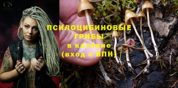 а пвп мука Бородино