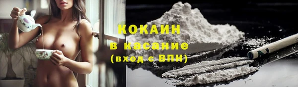 бошки Бронницы