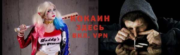 бошки Бронницы