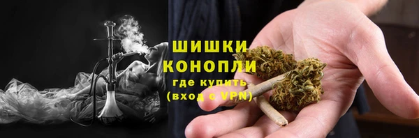 бошки Бронницы