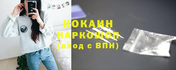 бошки Бронницы