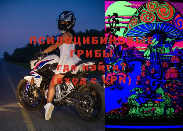 бошки Бронницы