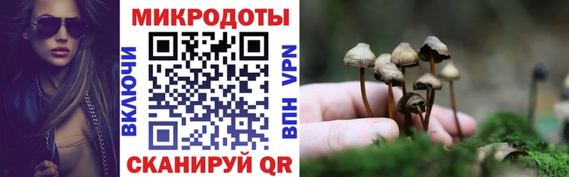 KRAKEN онион  Шарья  Псилоцибиновые грибы мухоморы 